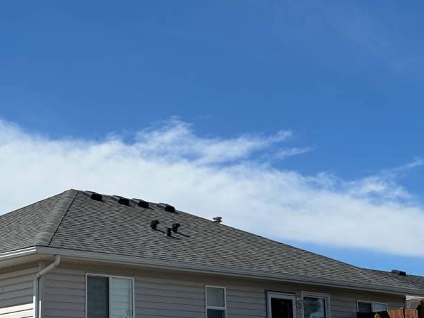 Best Roof Coating and Sealing  in Solomons, MD